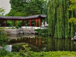 Скарби китайського саду