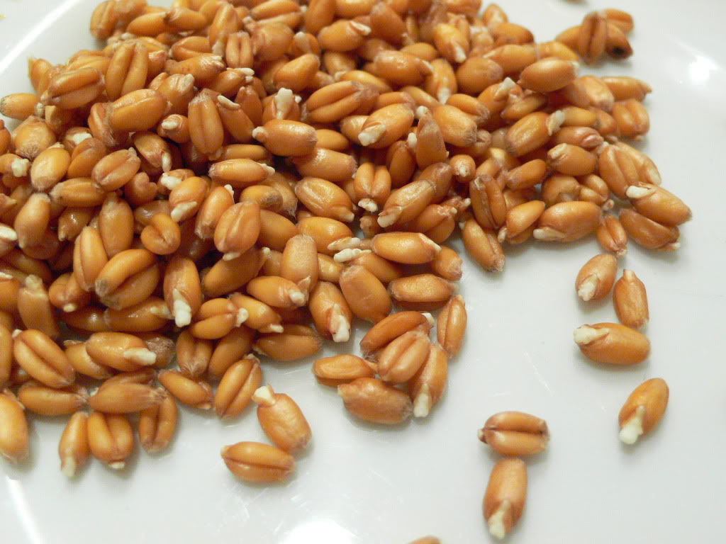Правильно пророщене зерно пшениці